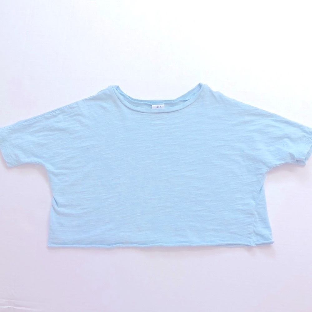 Stem Toddler Girl Blue Cropped Shirt, Size 3